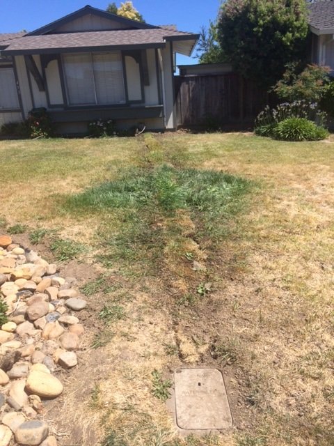 Front lawn restored after a completed sewer line repair